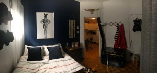 Appartement de 1 chambre à louer à Montreal - Rosemont–La Petite-Patrie — photo 9