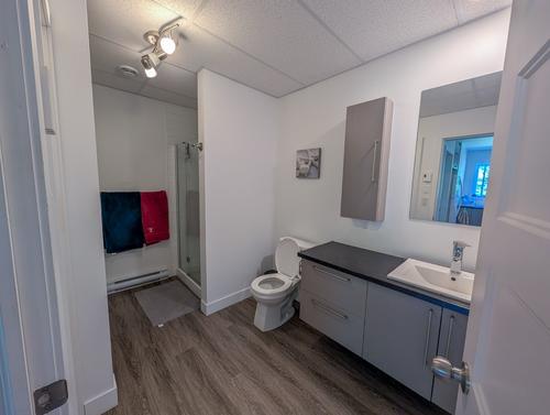 Appartement de 1 chambre à louer à Sherbrooke — photo 6