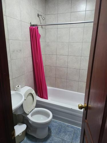 1 bedroom apartment for rent in Montreal - Le Plateau-Mont-Royal — photo 2