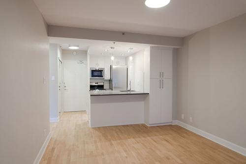 Appartement de 1 chambre à louer à Montreal - Le Plateau-Mont-Royal — photo 7