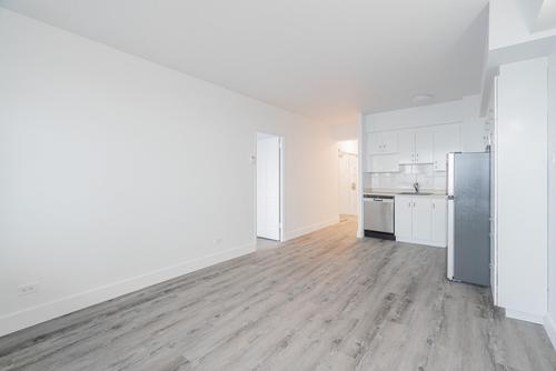 Studio for rent in Montreal - Le Plateau-Mont-Royal — photo 5