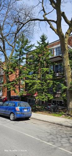 Appartement de 1 chambre à louer à Montreal - Rosemont–La Petite-Patrie — photo 6