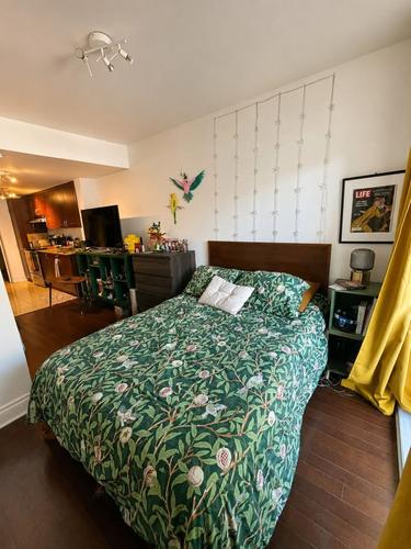1 bedroom apartment for rent in Montreal - Ville-Marie — photo 3