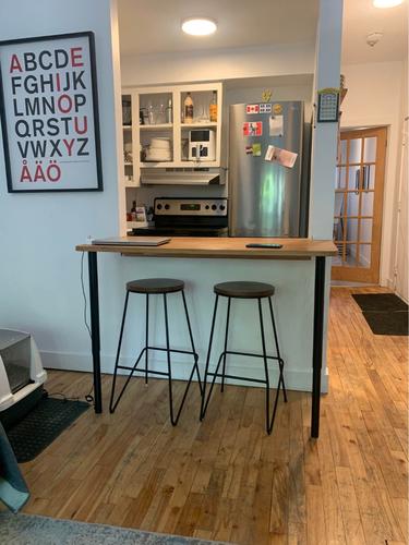1 bedroom apartment for rent in Montreal - Le Plateau-Mont-Royal — photo 5