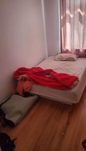 2 bedrooms apartment for rent in Québec - Sainte-Foy–Sillery–Cap-Rouge — photo 7