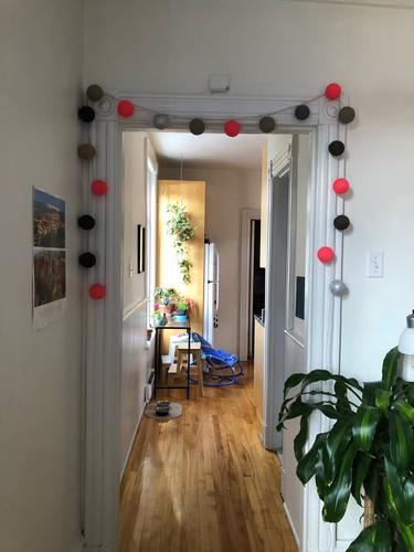Appartement de 1 chambre à louer à Montreal - Le Plateau-Mont-Royal — photo 3