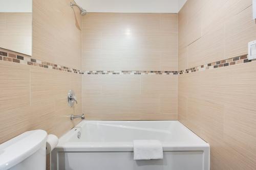 Studio for rent in Montreal - Ville-Marie — photo 12
