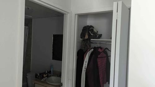 Appartement de 1 chambre à louer à Québec - Les Rivières — photo 4