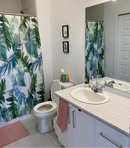 Appartement de 1 chambre à louer à Gatineau — photo 2