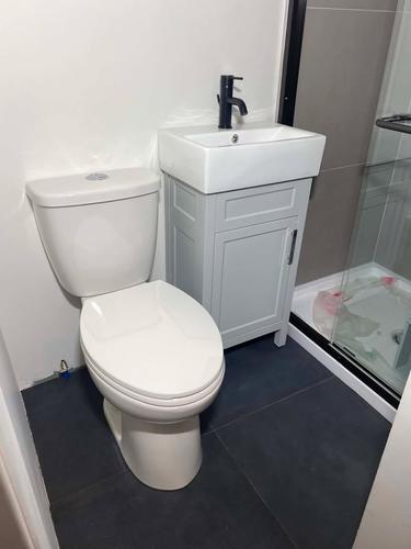 1 bedroom apartment for rent in Montreal - Le Plateau-Mont-Royal — photo 11