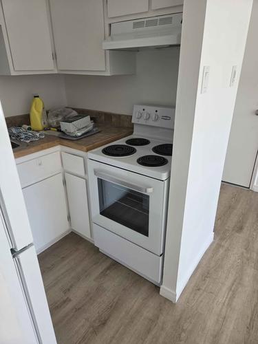 1 bedroom apartment for rent in Lévis — photo 4