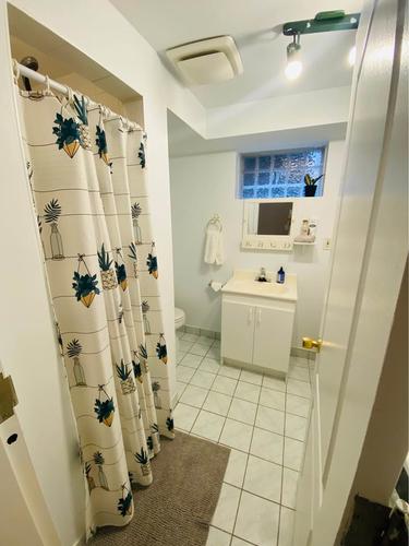 1 bedroom apartment for rent in Montreal - Le Plateau-Mont-Royal — photo 6
