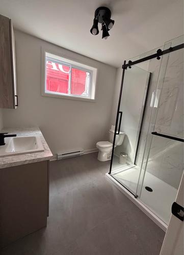 1 bedroom apartment for rent in Montreal - Le Sud-Ouest — photo 5