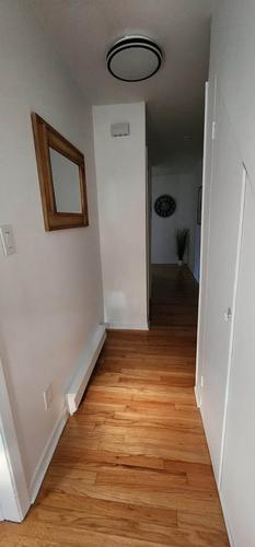 2 bedrooms apartment for rent in Montreal - Rosemont–La Petite-Patrie — photo 14