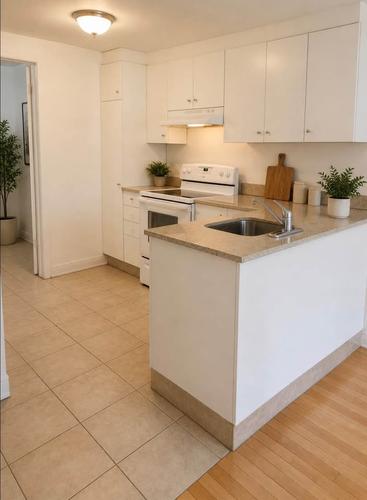 1 bedroom apartment for rent in Montreal - Le Plateau-Mont-Royal — photo 3