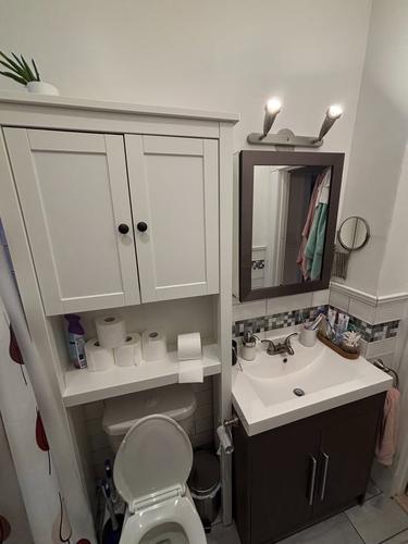 Appartement de 4 chambres à louer à Montreal - Le Plateau-Mont-Royal — photo 8