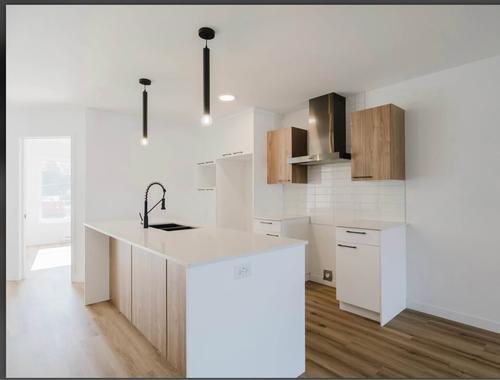 1 bedroom apartment for rent in Sherbrooke — photo 3