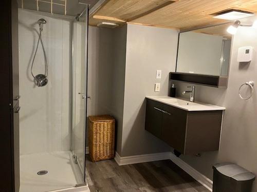1 bedroom apartment for rent in Gatineau — photo 4
