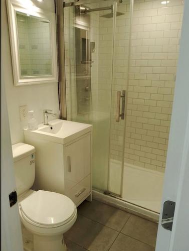 1 bedroom apartment for rent in Montreal - Rosemont–La Petite-Patrie — photo 3