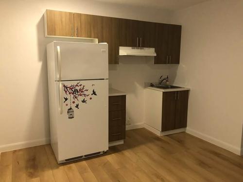 1 bedroom apartment for rent in Lévis — photo 2