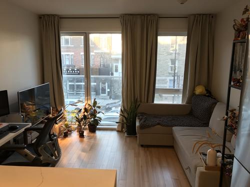 1 bedroom apartment for rent in Montreal - Le Plateau-Mont-Royal — photo 11