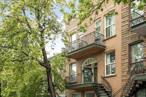 1 bedroom apartment for rent in Montreal - Le Plateau-Mont-Royal — photo 2