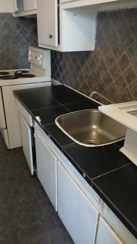 1 bedroom apartment for rent in Montreal - Rosemont–La Petite-Patrie — photo 3