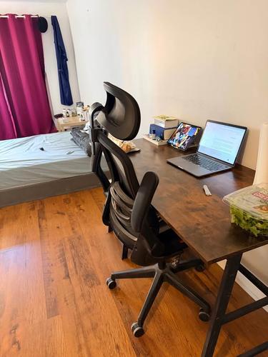 Studio à louer à Montreal - Le Plateau-Mont-Royal — photo 7