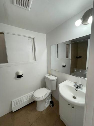 1 bedroom apartment for rent in Montreal - Rosemont–La Petite-Patrie — photo 2