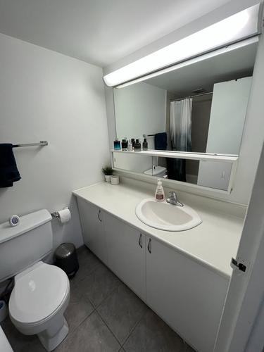 Appartement de 2 chambres à louer à Montreal - Le Plateau-Mont-Royal — photo 6