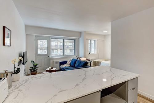 1 bedroom apartment for rent in Montreal - Le Plateau-Mont-Royal — photo 4