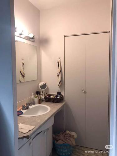 Studio à louer à Montreal - Le Plateau-Mont-Royal — photo 8