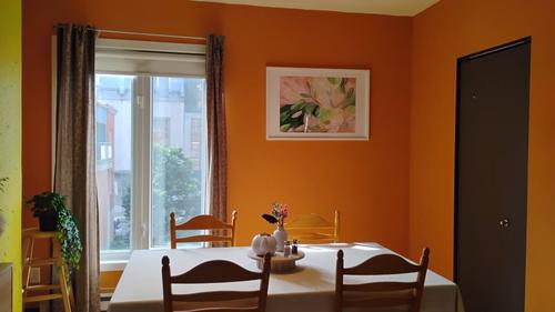 1 bedroom apartment for rent in Québec - La Cité-Limoilou — photo 5