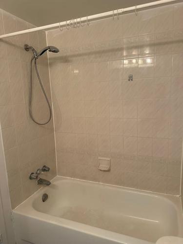 1 bedroom apartment for rent in Montreal - Le Plateau-Mont-Royal — photo 5