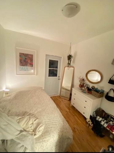 4 bedrooms apartment for rent in Montreal - Le Plateau-Mont-Royal — photo 8