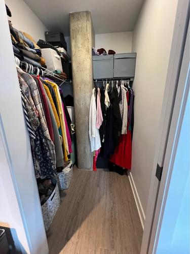 Appartement de 1 chambre à louer à Montreal - Rosemont–La Petite-Patrie — photo 4
