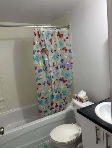 1 bedroom apartment for rent in Gatineau — photo 5