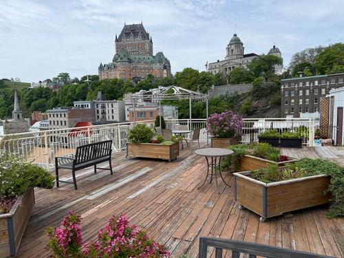 Appartement de 2 chambres à louer à Québec - La Cité-Limoilou — photo 11
