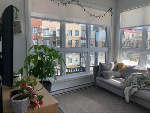 2 bedrooms apartment for rent in Gatineau — photo 4
