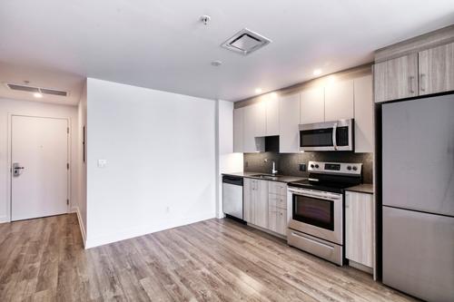 1 bedroom apartment for rent in Montreal - Le Plateau-Mont-Royal — photo 3