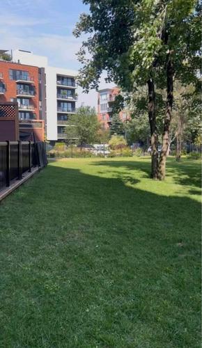 2 bedrooms apartment for rent in Longueuil — photo 7