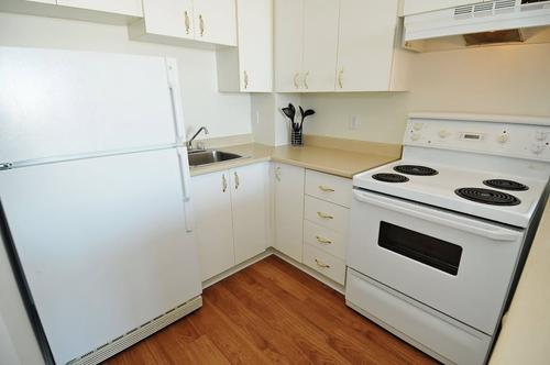 1 bedroom apartment for rent in - — photo 7