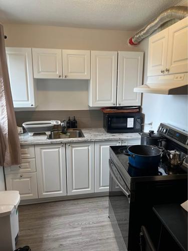 1 bedroom apartment for rent in Gatineau — photo 5