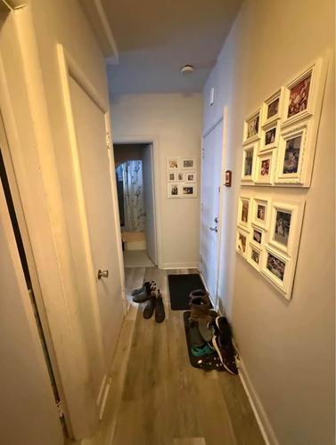 Studio à louer à Québec - La Cité-Limoilou — photo 4