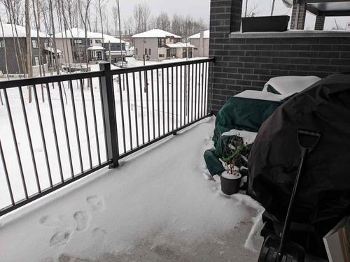 Appartement de 3 chambres à louer à Sherbrooke — photo 19