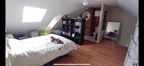 Appartement de 2 chambres à louer à Québec - La Cité-Limoilou — photo 2
