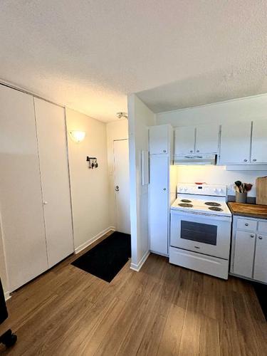 1 bedroom apartment for rent in Gatineau — photo 4