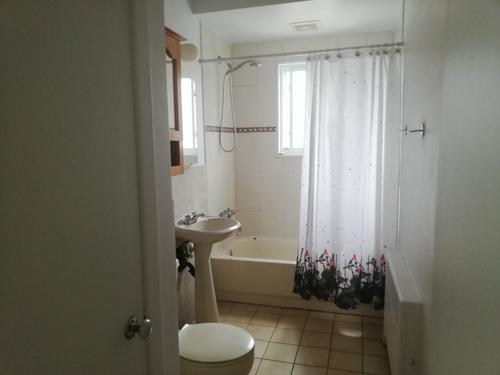 1 bedroom apartment for rent in Montreal - Saint-Laurent — photo 7