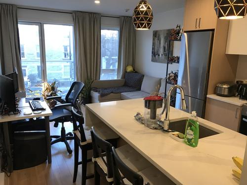 1 bedroom apartment for rent in Montreal - Le Plateau-Mont-Royal — photo 10