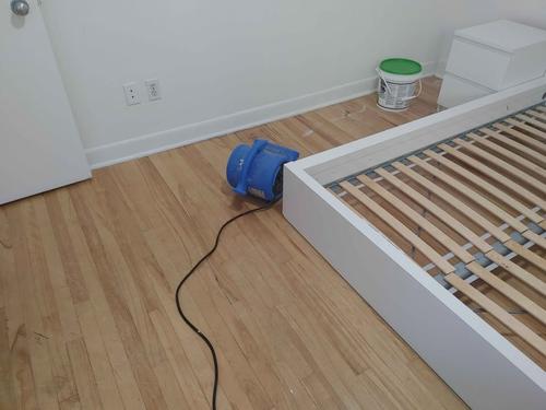 Appartement de 3 chambres à louer à Québec - La Cité-Limoilou — photo 10